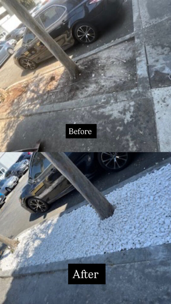 Landscape cleaning before after