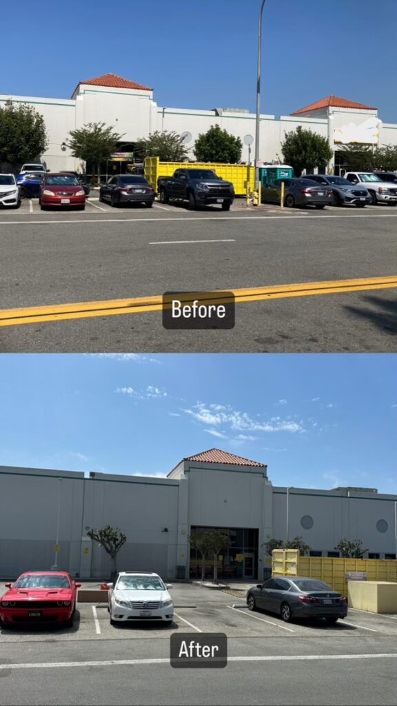 Tree Trimming before and after