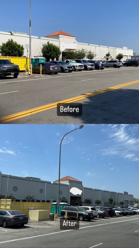 Tree Trimming before and after