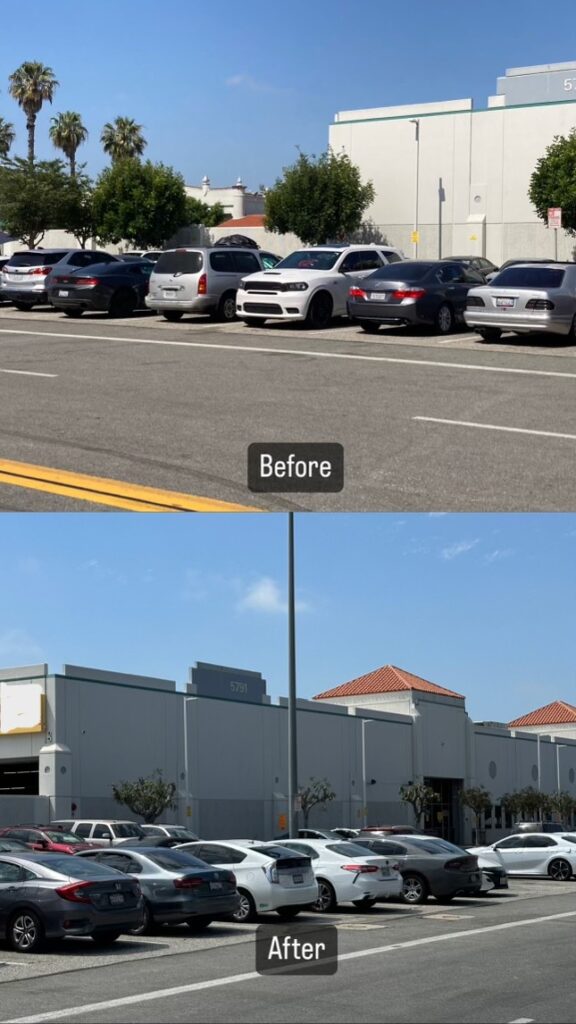 Tree Trimming before and after